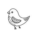 Cute flying bird in doodle style on a white background.